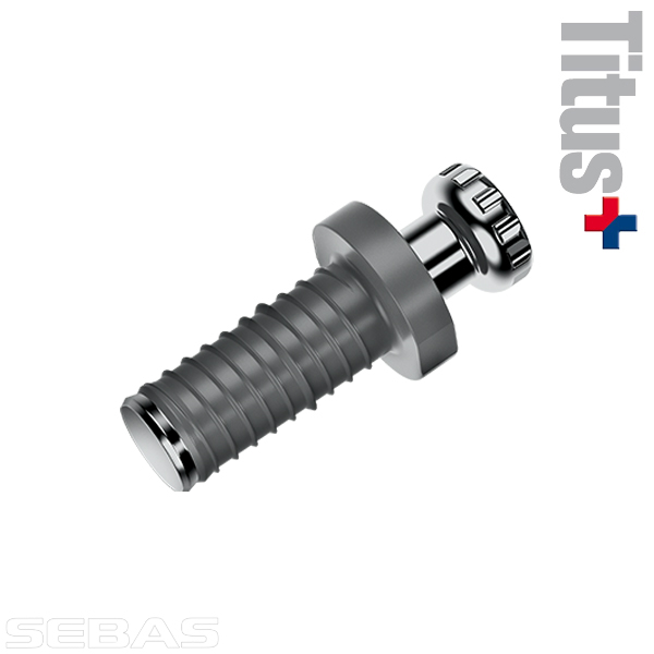 Şurub Quickfit pentru demontabil RAFIX. Titus+